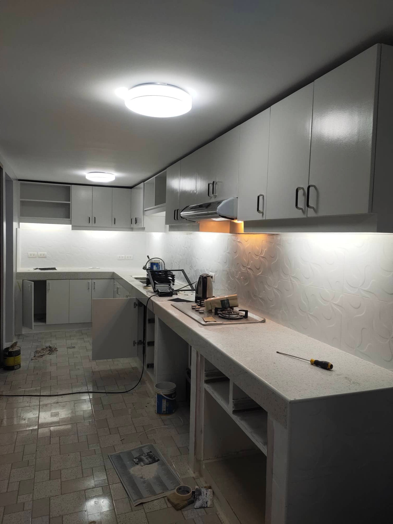 previous project